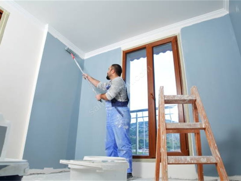 Dinar Boya Badanacı